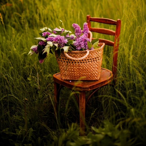 Meet your Posher, M. - Picture 1 of 1